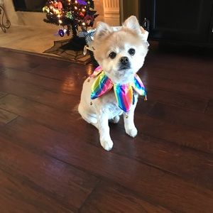 Meet your Posher, Candy